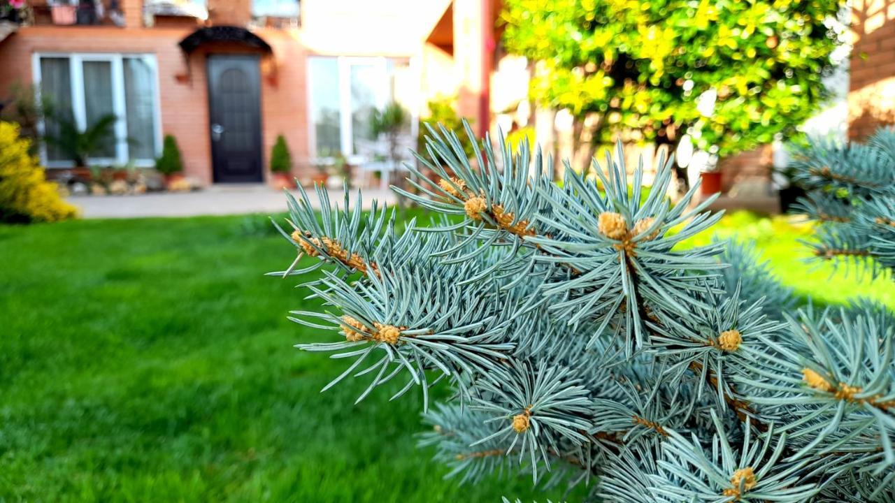 Green Garden Tbilisi Exterior photo